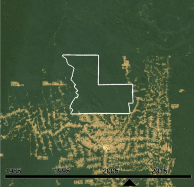 Satellite image of protected land, lush and green, with deforestation creeping towards the drawn border